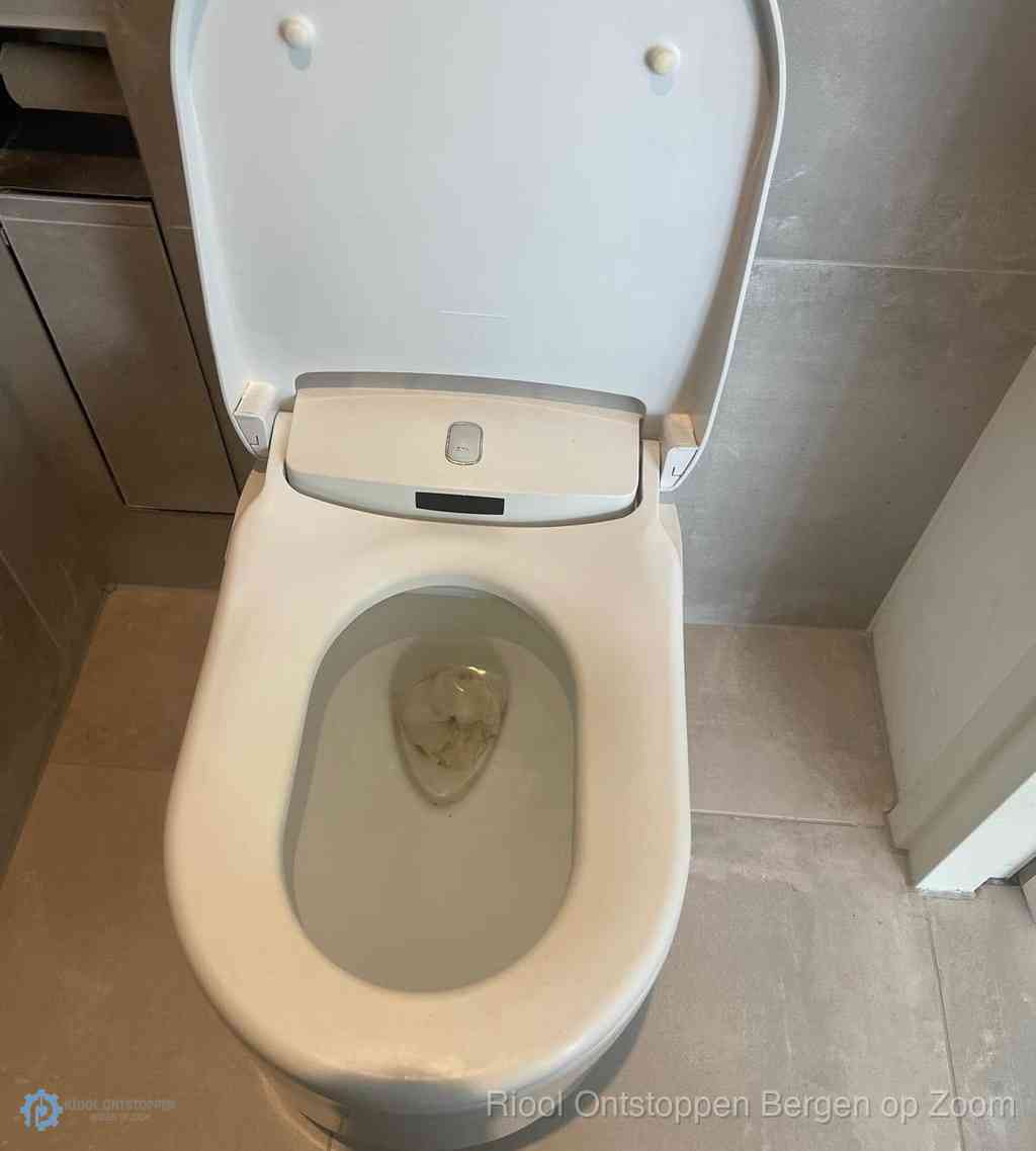 Toilet Ontstoppen Bergen op Zoom Toilet Ontstoppen Bergen op Zoom